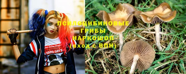 Альфа ПВП Абаза