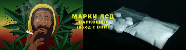 стаф Надым